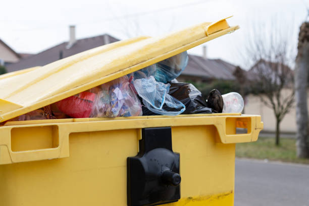 Best Same-Day Junk Removal Services  in New Carlisle, IN